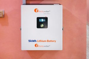 5kwh Felicity Lithium Battery